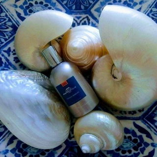 Vanille apricot - Compt...