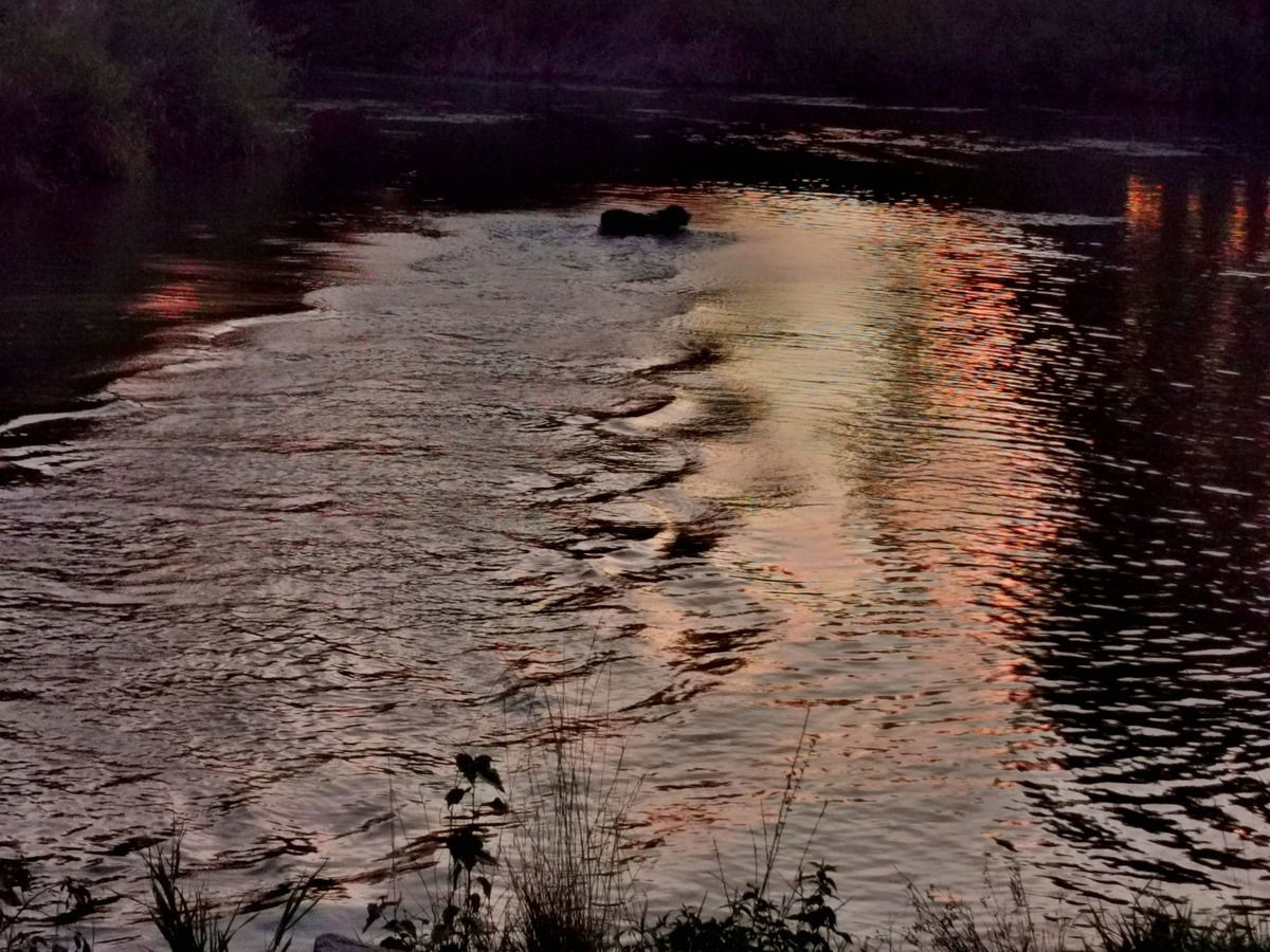 Wellenmuster