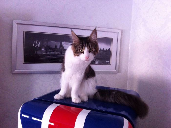 Hallo! Ich bin der Bruce ;-))