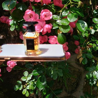 Meine erste Begegnung m...