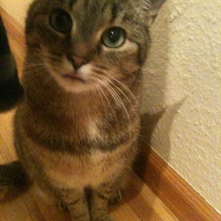 Was guggst du?