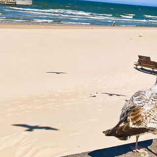 Du auch wieder hier?