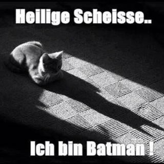...anscheinend muss man...