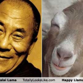 fand ich einfach gut :-...