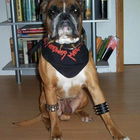 Mein unvergessener Lieb...
