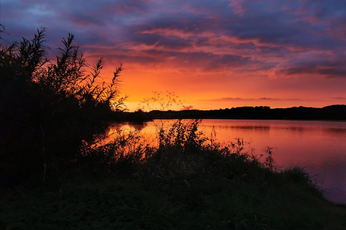 Gestern abend am See, so unglaublich