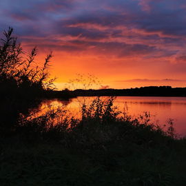 Gestern abend am See, s...