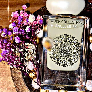 Angel Musk Gulf Orchid...