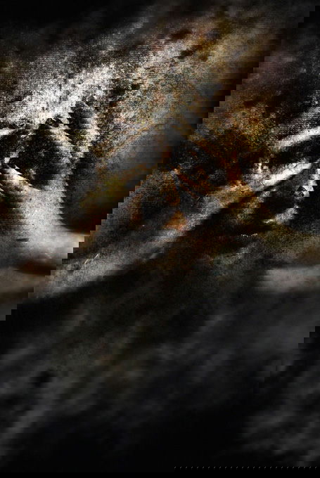 art by Federico Bebber