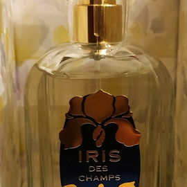 Ιris des Champs - Houb...