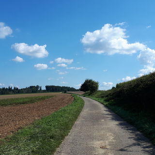 Auf der alten Kuhweide ...