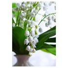 spring charm