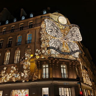 DIOR, 30 Avenue Montaig...