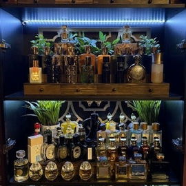 My Collection