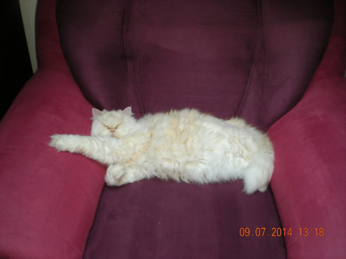 Mannomann war das wieder anstrengend....