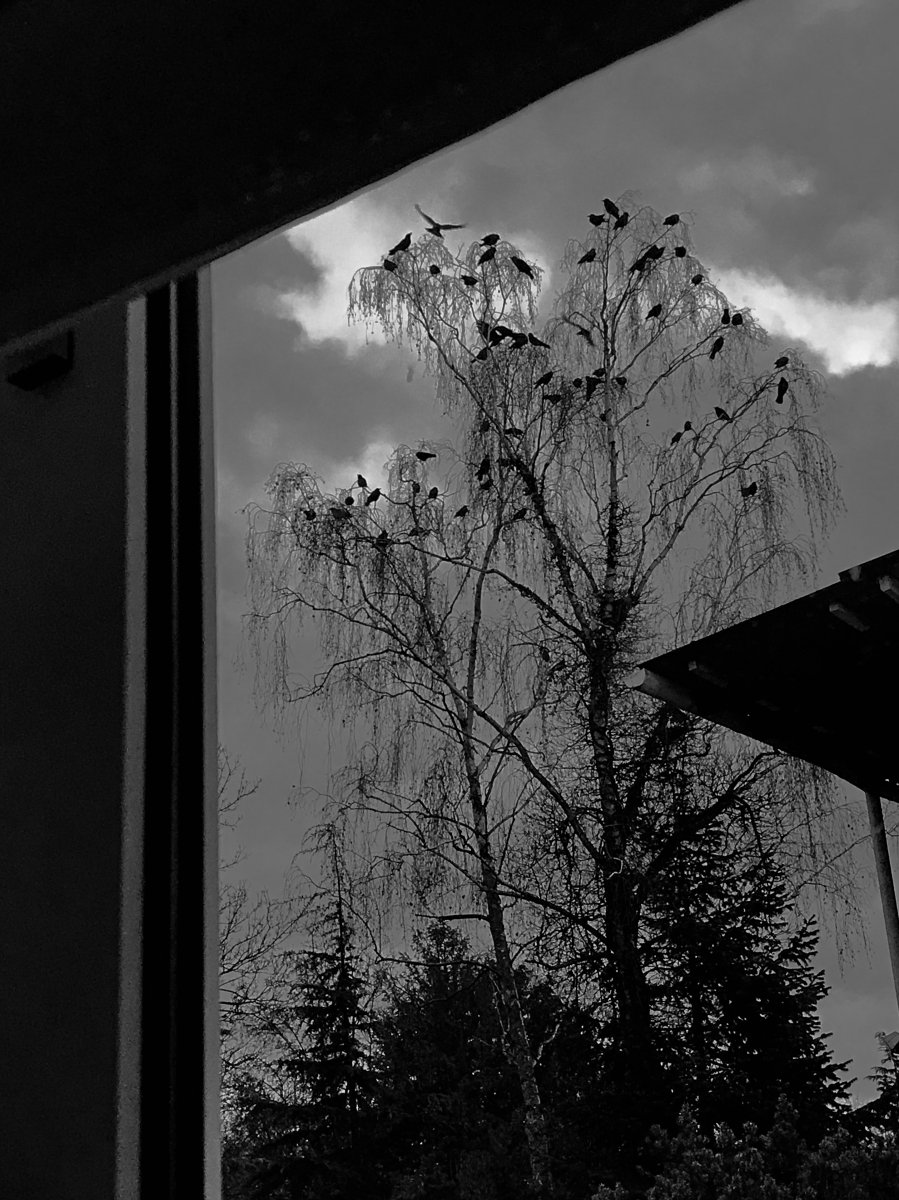 .......... Hitchcock Feeling I …….