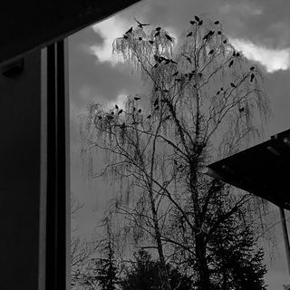 .......... Hitchcock Fe...