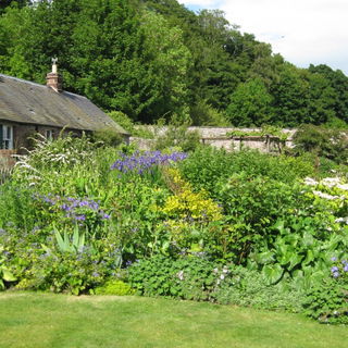 Garten meiner Ferienwoh...