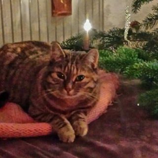 Bescherung ist jetzt ni...