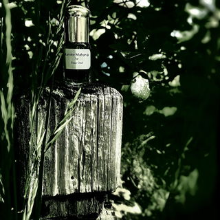 Chlorophyll dunstende D...