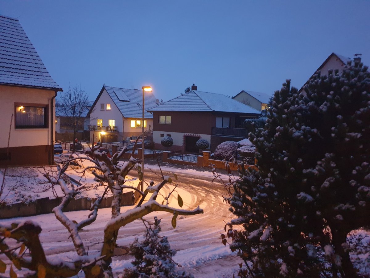 1.12.20 und direkt der erste Schnee. Dachte das gibt's dieses Jahr nicht!