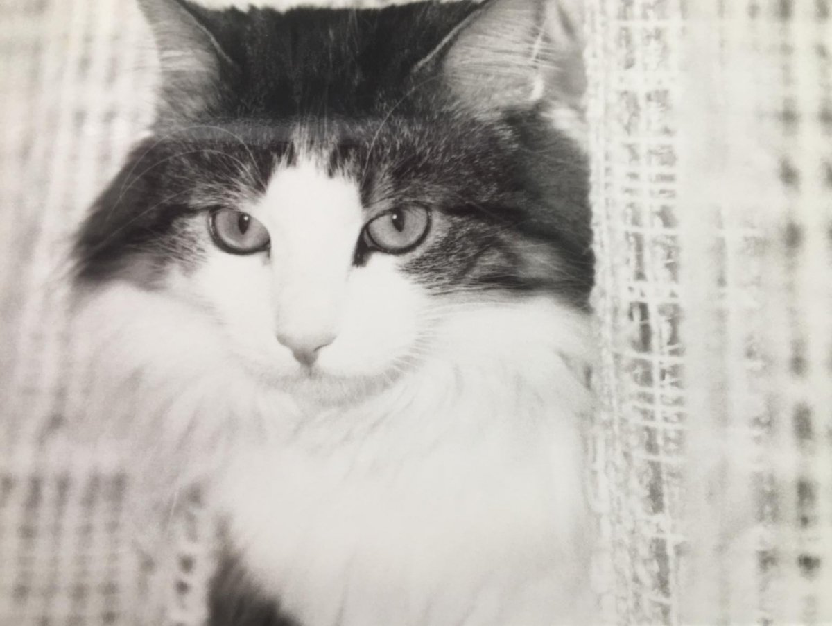 Mein Sonnenschein ❤️