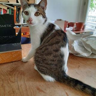 So gross bin ich nämli...