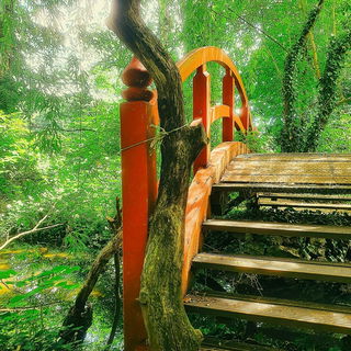 The gods may throw a di...