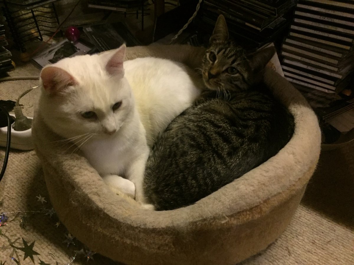 Flocke und Rosie...