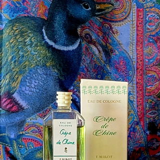 Vogel geht wohl gar nic...