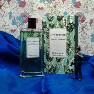 Selva do Brazil von Ber...