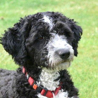 Jule: unbeschreiblich.....