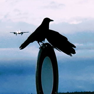 Du, meinst Du das Verbo...