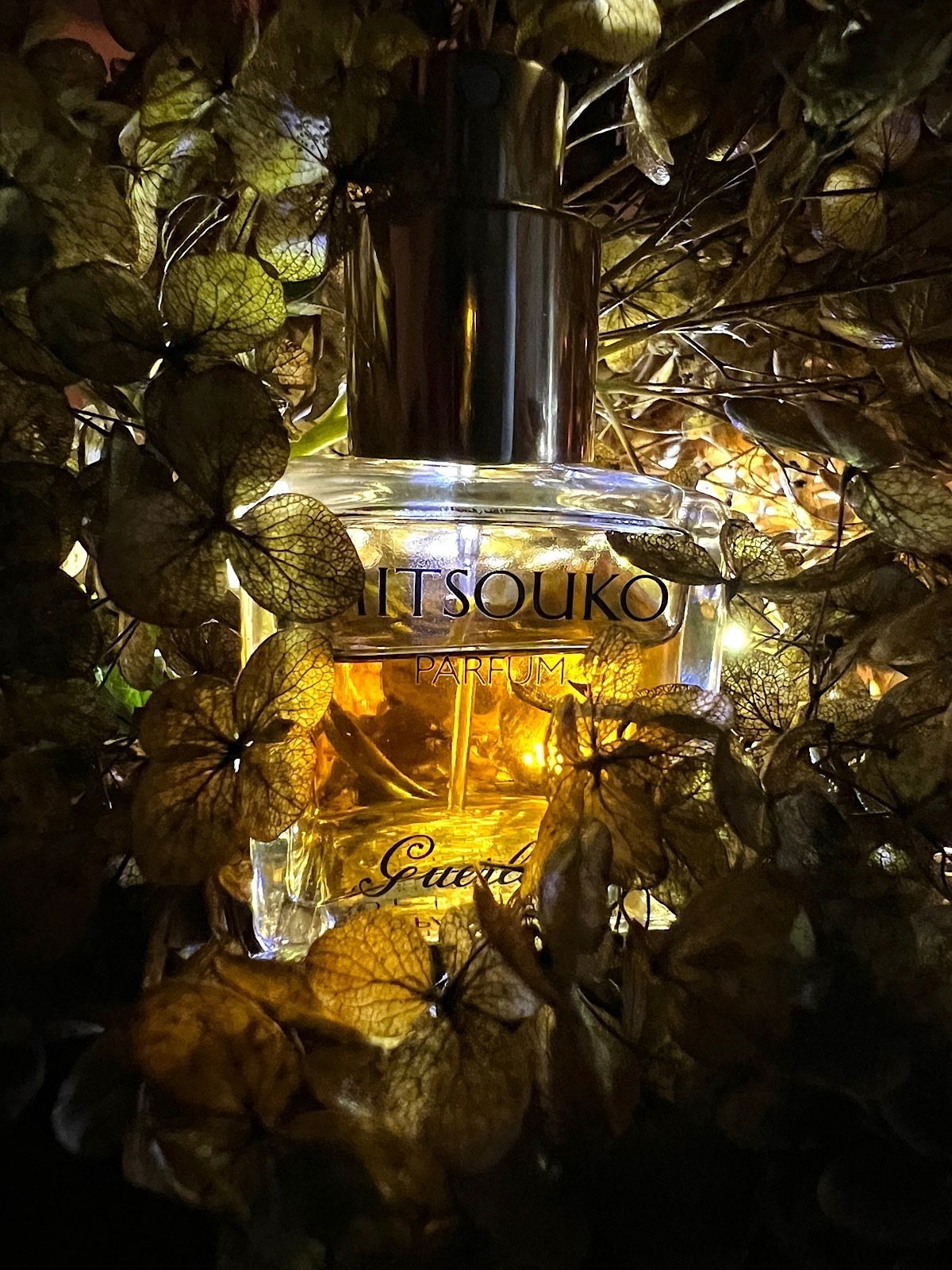 Mitsouko Extrait / Guerlain / 02.11.2023