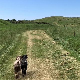 Auf dem Weg zum Strand...