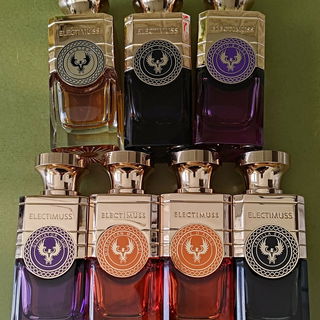 Electimuss - Auster/Bla...