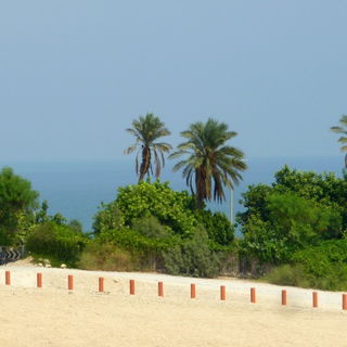Landschaft bei Ein Gedi...