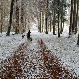 Ein einziger Tag Winter...