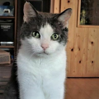 Pablo ..   er war weise...