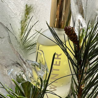 Winter / Dasein / 30.11...