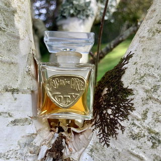 Jasmin de Corse Coty