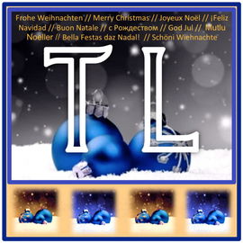 Christmas Toodle 2015...