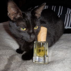 Rasputin mit dem schick...