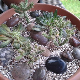 Outdoor Miniwüste :-)...