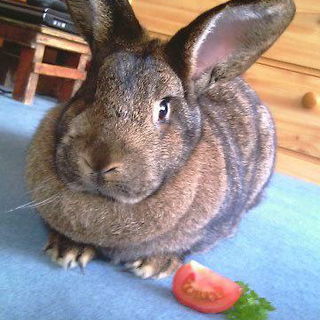 ...für alle, die unbed...