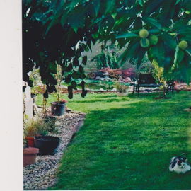 Ruhe im Garten.....