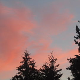 Abendstimmung!