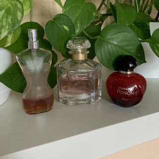 Meine 3 Lieblinge 😍