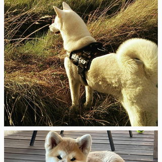 Meine 2 Schätze im Him...