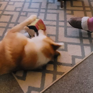 2.11.25 Meine beiden Te...